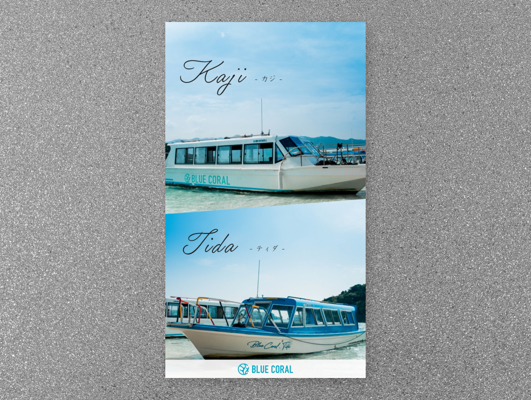 BLUE CORAL株式会社 PV