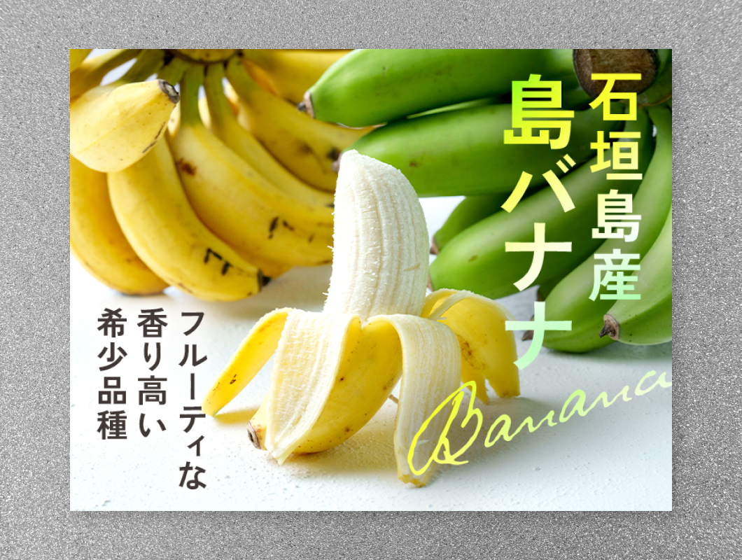 i-shop石垣株式会社　ECサイトFV掲載用バナー