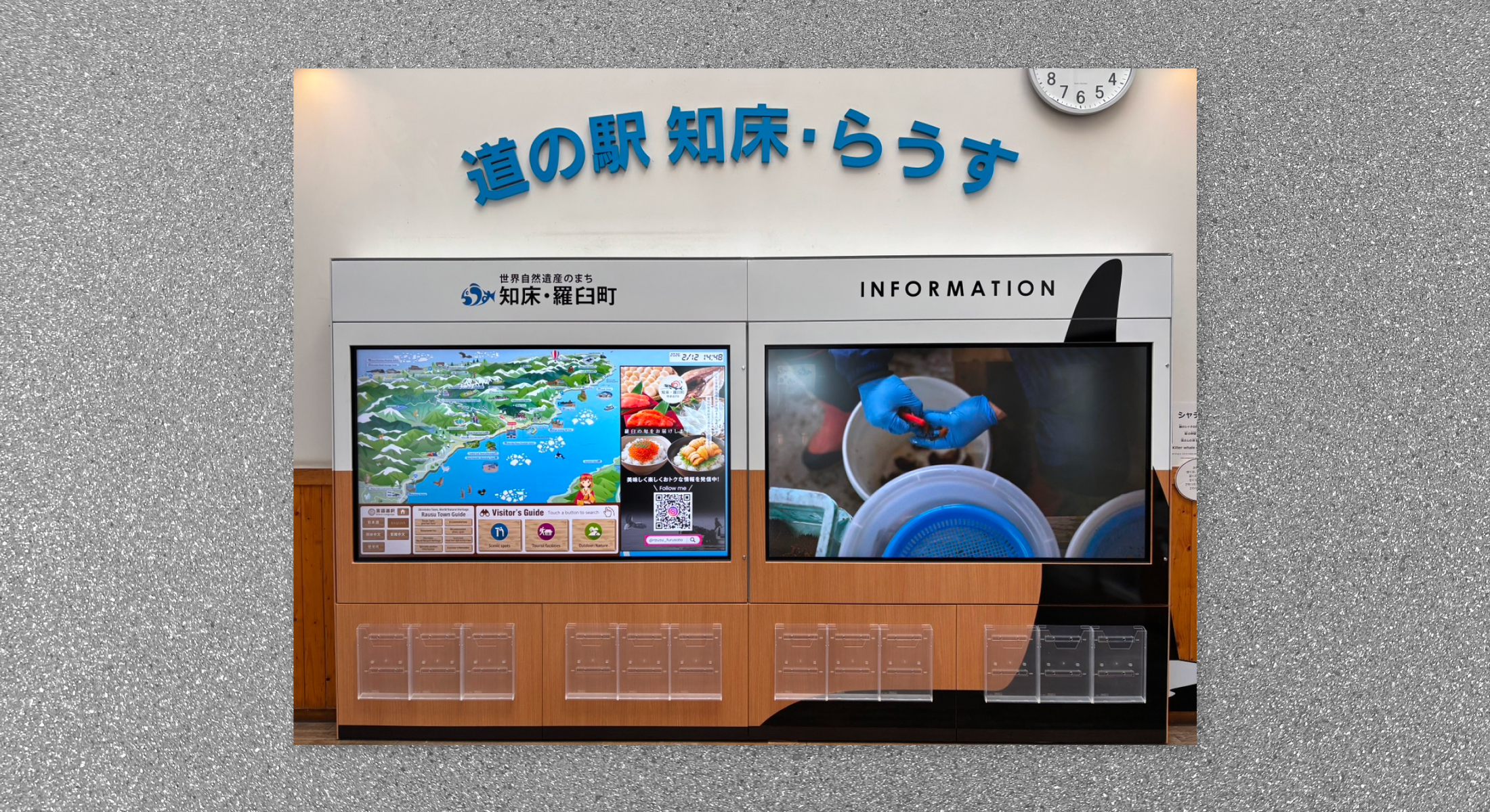 羅臼町周辺案内　観光イラストマップ